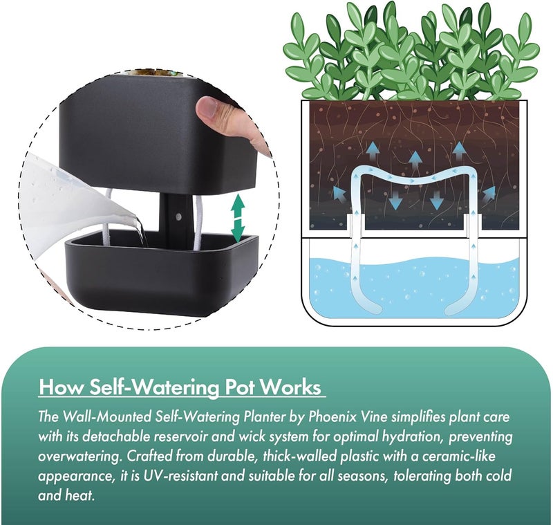 Phoenix Vine 6.5-Inch Wall Mounted Self-Watering Planter Pot for Indoor Houseplants and Herbs | Modern Hanging Planter for Window Sills, Bathroom Walls, Home & Office Décor, Black, Set of 1, 01-WP-B-1 - Image 4
